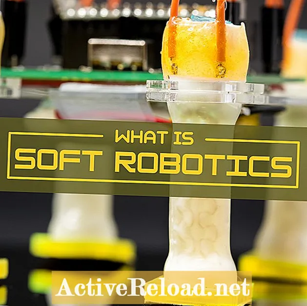 Ce este Soft Robotics?