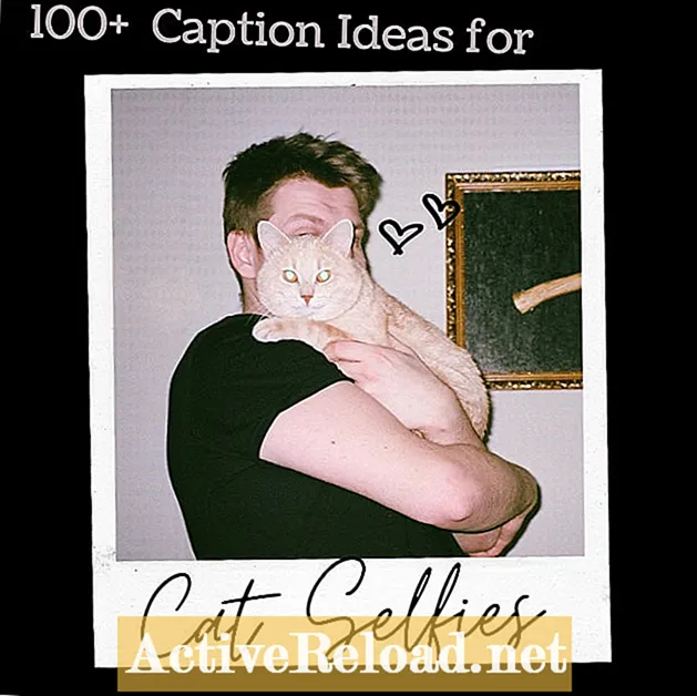 100+ najboljših napisov za selfije z mačkami