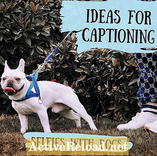 100+ beste bijschriften voor selfies met honden