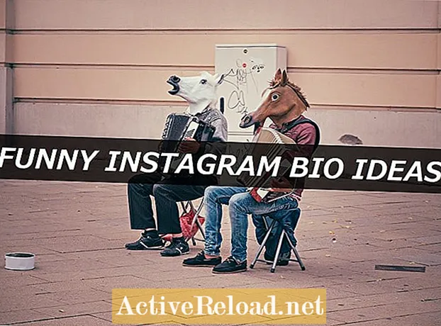 Daugiau nei 150 linksmų „Instagram“ biografinių idėjų