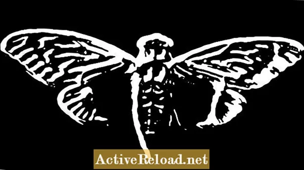 Μπερδεύει το Διαδίκτυο: Το μυστήριο της Cicada 3301