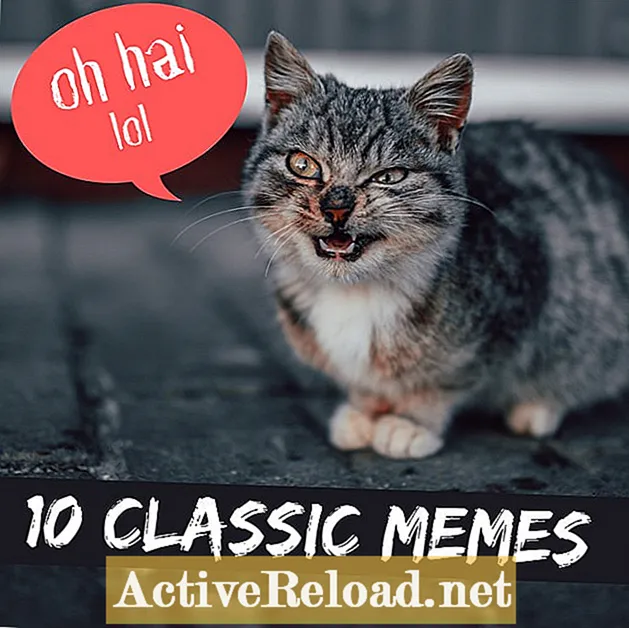 Topp 10 klassiske Internett-memes